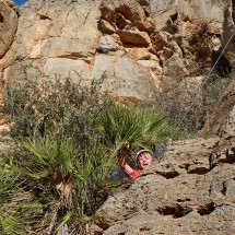 Marion in the shrubbery due to too fast abseiling